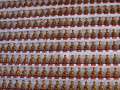 0184 10000-Buddhas-Kloster