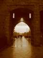 2324_Castello_Sforzesco