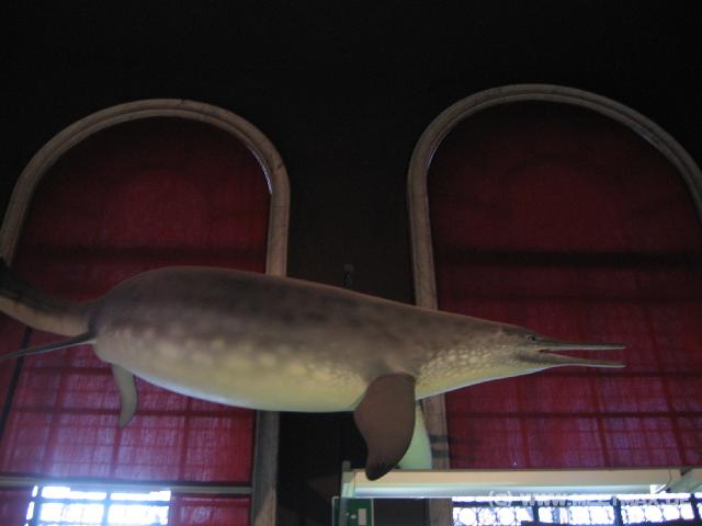 2462_Saurier