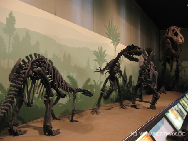 2468_Dinosaurier