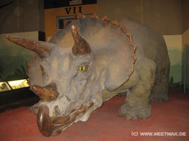 2471_Triceratops