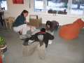 2433_Daniel_bei_der_Tourplanung