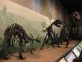 2468_Dinosaurier
