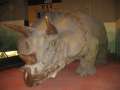 2471_Triceratops