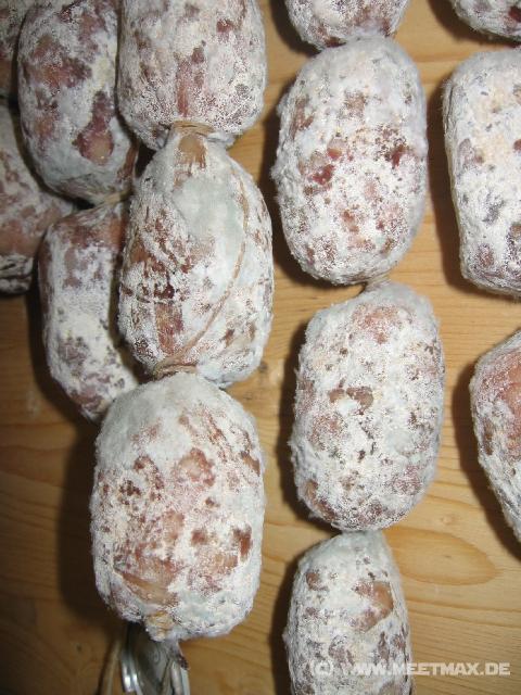 2506_Schimmelwurst