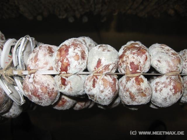 2507_Schimmelwurst