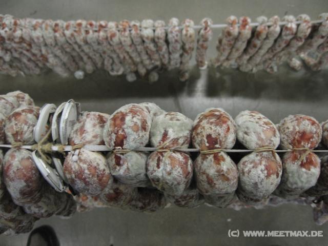 2508_Schimmelwurst