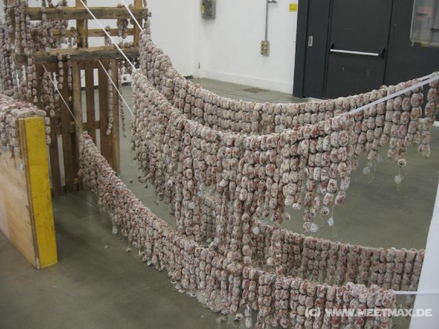 2509_Schimmelwurst
