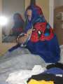 2955_Spiderman