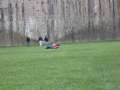3002_P�rchenwiese
