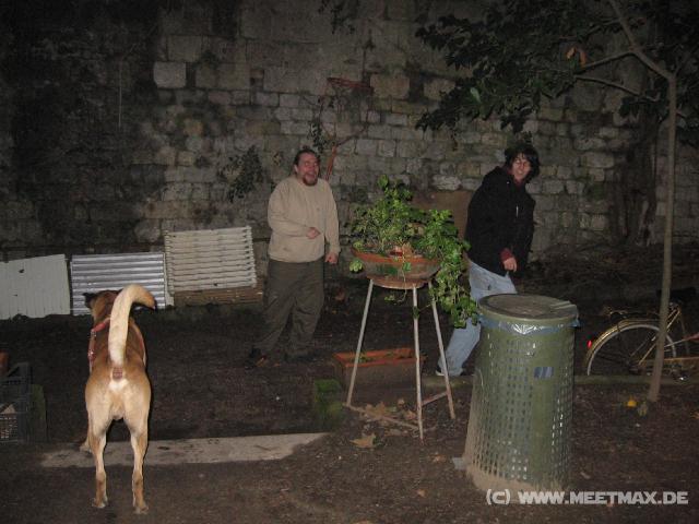 3137_Wer_hat_Angst_vorm_Hund