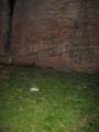 3134_Rumms