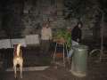 3137_Wer_hat_Angst_vorm_Hund