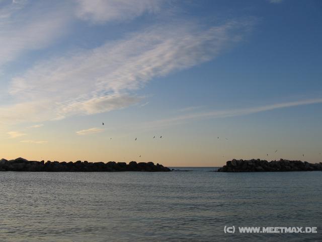 3191_V�gel