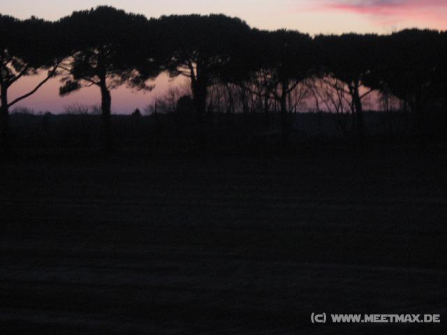 3204_B�ume