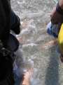 3156_Im_kalten_Wasser