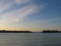 3191_V�gel