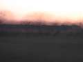 3213_Abendrot