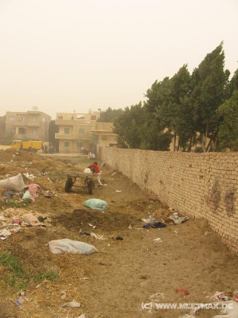 4447_Giza