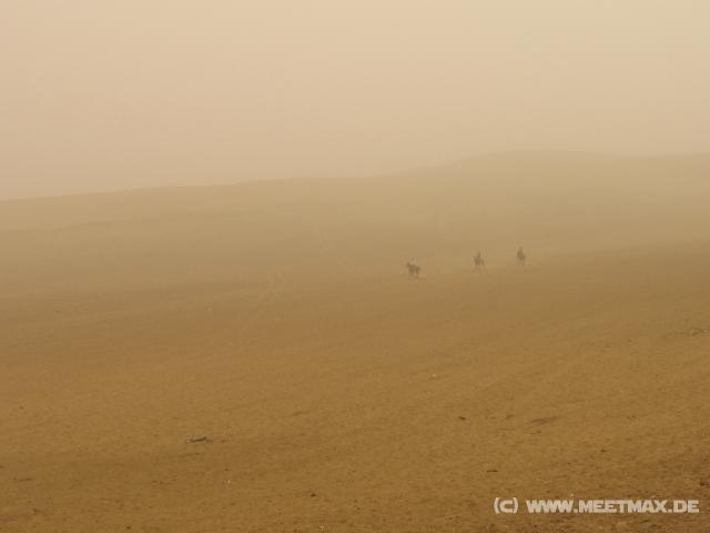 4457_Desert