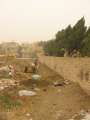 4447_Giza