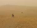 4459_Desert