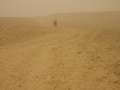 4471_Desert