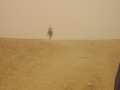 4472_Desert