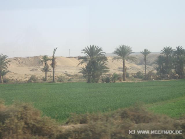 4594_Landschaft