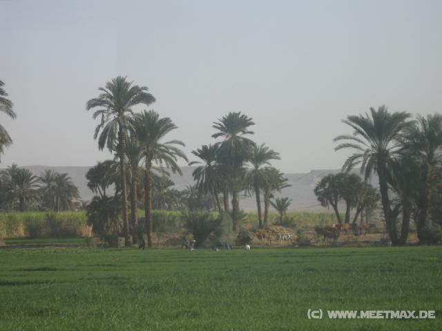 4595_Landschaft