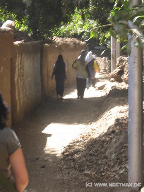 4626_Elephantine_Island