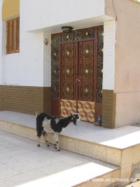4627_Elephantine_Island