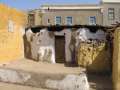 4633_Elephantine_Island