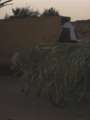 4999_Streetlife