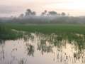 5033_Morgennebel