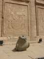 5092_Edfu