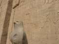 5116_Edfu