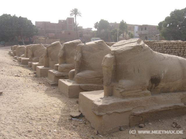 5124_Sphinx-Allee_Karnak