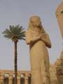 5134_Karnak_Ramses_II