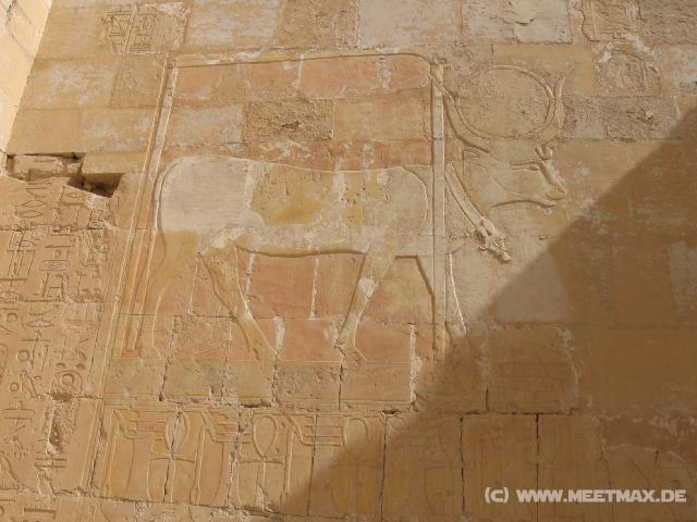 5246_Hatschepsut-Tempel
