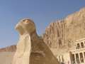 5235_Hatschepsut-Tempel