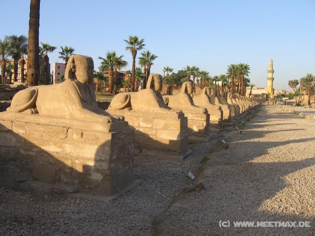 5342_Sphinx-Allee