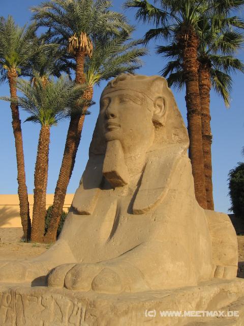 5344_Luxor_Temple