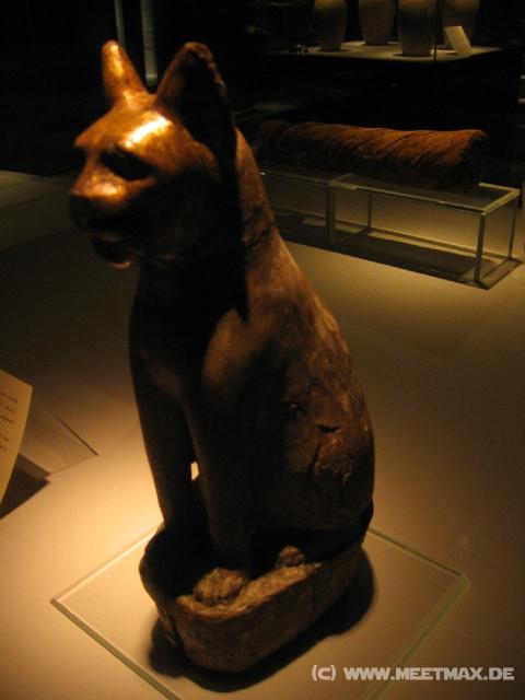 5381_Katzen-Mumie