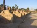 5342_Sphinx-Allee