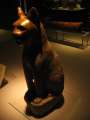 5381_Katzen-Mumie