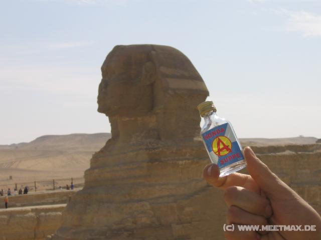 5501_Sondasuppensphinx