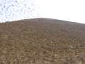 5411_Cheops-Pyramide