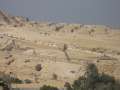 5482_Sphinx
