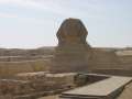 5499_Sphinx